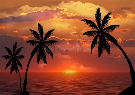 Palm Trees Silhouette At Sunset Stock Image - Image of horizon, beach ...