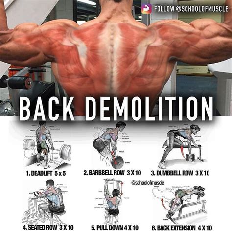 How to build Huge back with exercises | Videos & Guides