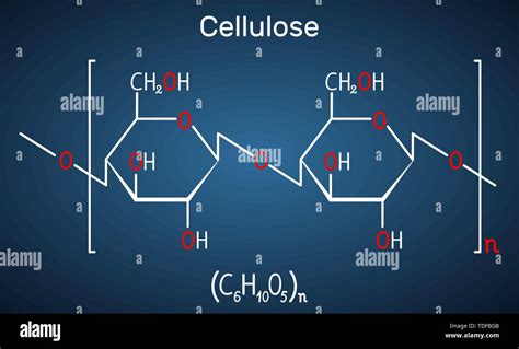 Polysaccharides Cellulose