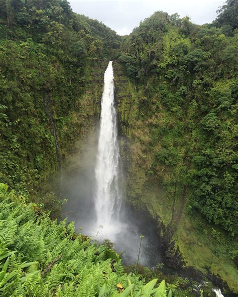 Akaka Falls | Hawaii island, Big island, Hawaii