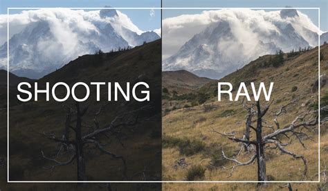 Why you should shoot in RAW format (and why you shouldn't) - DALIBRO