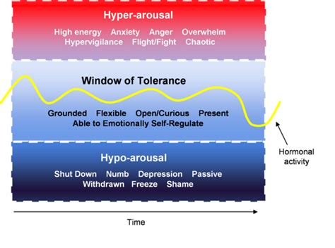 Thriving Through Trauma: Widening Your Window of Tolerance