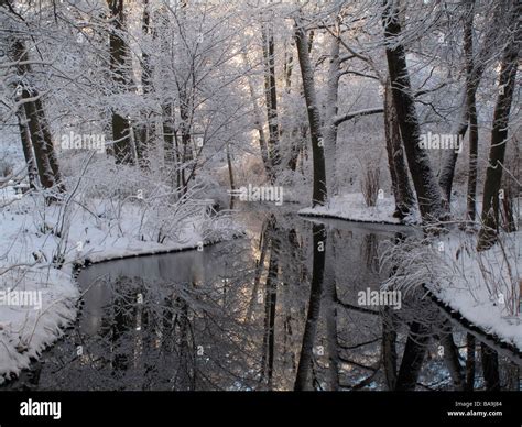 Berlin Tiergarten In Winter Snow Stock Photos & Berlin Tiergarten In ...