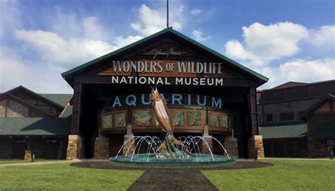 Bass Pro Shops Wonders of Wildlife Aquarium | Jayhawk Fire Sprinkler Co.