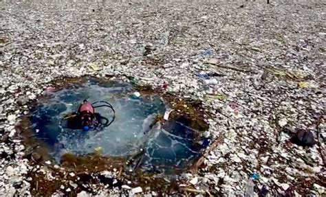 Watch: Photographer discovers two miles of garbage floating in the Caribbean | Floating ...