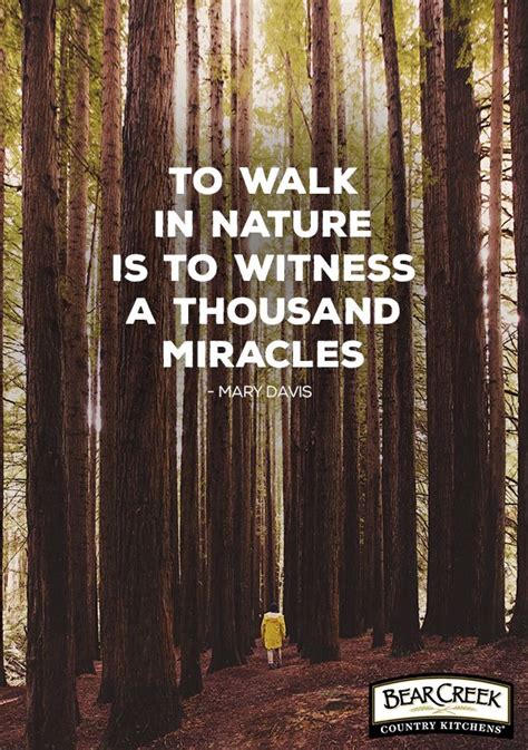 Sometimes all it takes is a stroll through the woods. “To walk in nature is to witness a ...