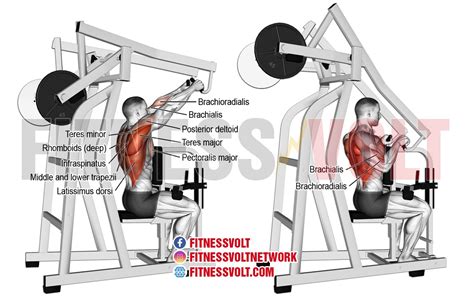 Build Back Strength: Seated High Row for Powerful Lats & Biceps ...