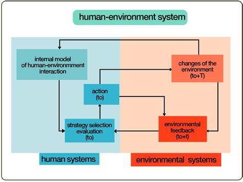 Human-Environment System Diagram | Human environment, Human, Eco fashion