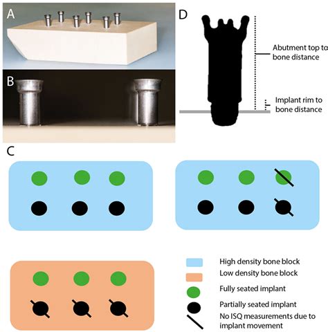 Frontiers | The Use of Cone Beam Computed Tomography in Assessing the Insertion of Bone ...