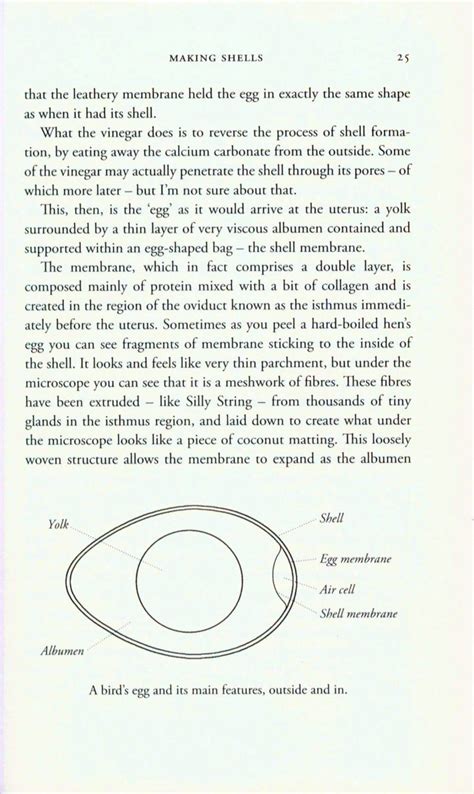 The Most Perfect Thing: Inside (and Outside) a Bird’s Egg | NHBS Good Reads