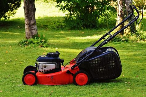 5 Best Lawn Mowers For Wet Grass | Reviewed (UK) | 2024