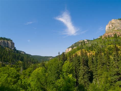 Exploring Black Hills National Forest Through My Child's Eyes • Arbor Day Blog