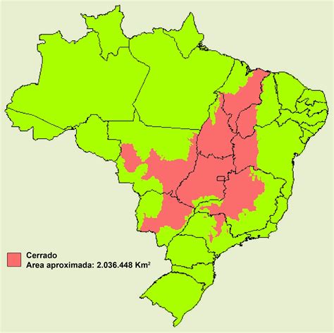 Geo - Conceição : CERRADO BRASILEIRO