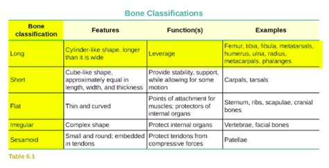 Reading Visual Aids | English Composition 1