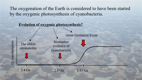 The Great Oxygenation Event The Earths First Mass