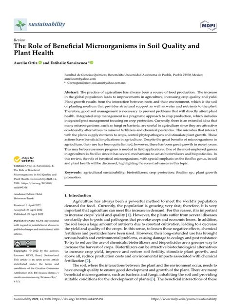 The Role of Beneficial Microorganisms in Soil Quality and Plant Health ...