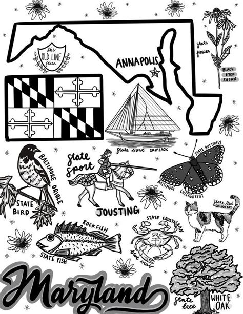 Maryland Coloring Page - Etsy