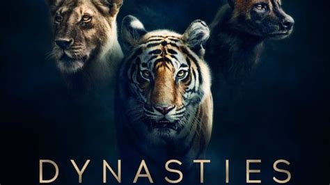 Watch the stunning trailer for David Attenborough's Dynasties