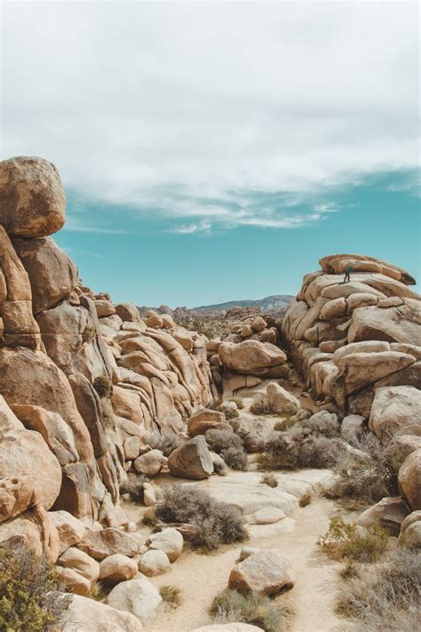 Joshua Tree's Rock Formations ... | Joshua tree national park, National parks, California ...