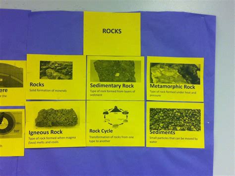 6th grade Science | Sixth grade science, 6th grade science, Science teaching resources