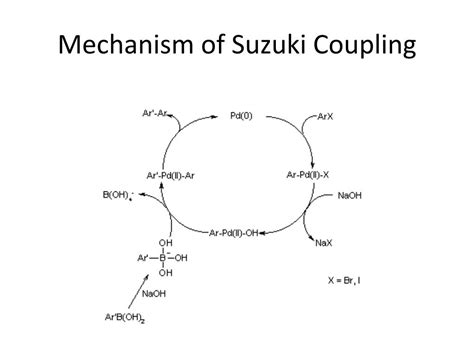 PPT - Suzuki Coupling PowerPoint Presentation, free download - ID:2328216