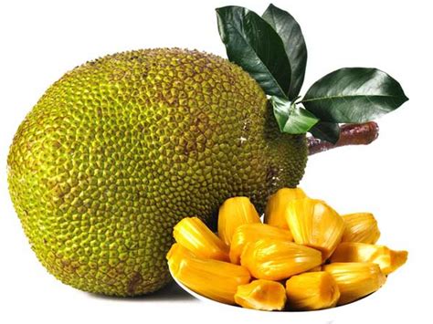 Proud moment: Jackfruit named after Karnataka farmer - Oneindia News