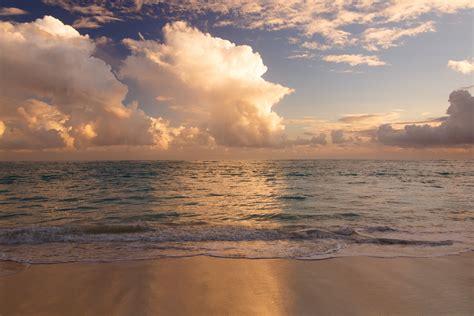 Caribbean Beach In Morning Free Stock Photo - Public Domain Pictures