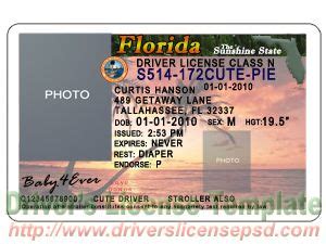 7 Florida Driver License PSD Template Images - Florida Drivers License Template, New York ...