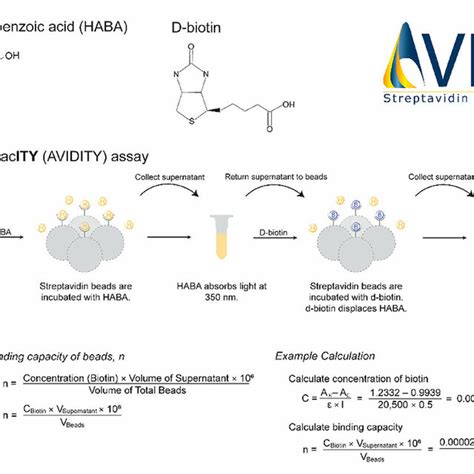 Binding capacity of streptavidin beads as measured by the AVIDITY assay... | Download Scientific ...