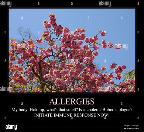 Allergies season funny meme for social media sharing. Spring time ...