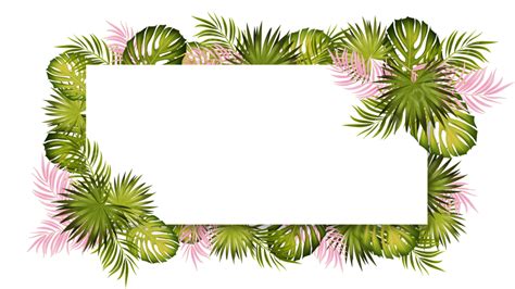 Palm Leaf Border White Transparent, Palm Pink Leaf Border, Frame ...