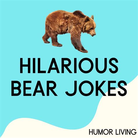 Funny Bear Memes