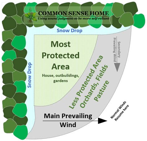 Windbreak Design: Maximize Your Land's Potential