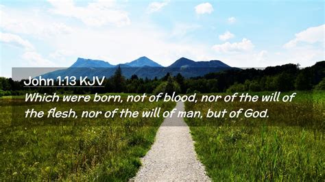 John 1:13 KJV Desktop Wallpaper - Which were born, not of blood, nor of the will of