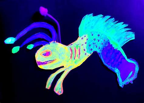 Bioluminescent Animals