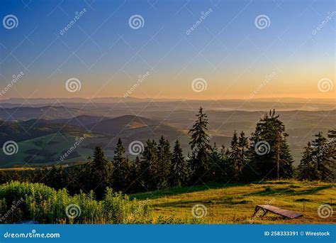 Aerial View of a Beautiful Forest Near Zlatibor Mountain, Serbia Stock ...