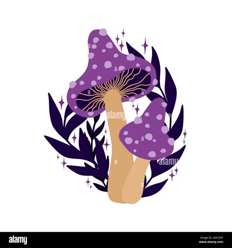 Purple mushrooms and dark leaves with stars on white background. Magic ...