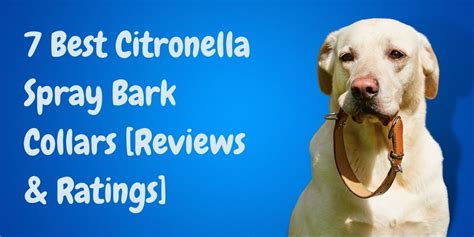 7 Best Citronella Spray Bark Collars [Reviews & Ratings]