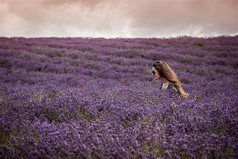 Visiting Cotswold Lavender Fields - The Happy Kamper