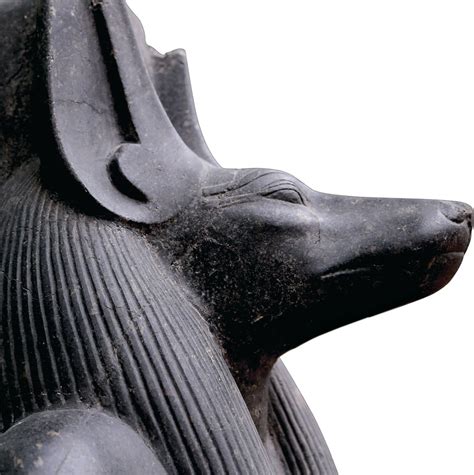 Expedition Magazine | Sacred Animal Cults in Egypt