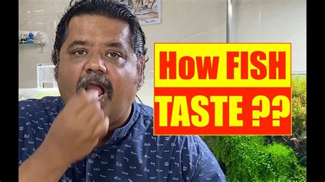 How Do :- Aquarium Fish Taste Food ? Mayur Dev Aquascaper | Aquarium ...