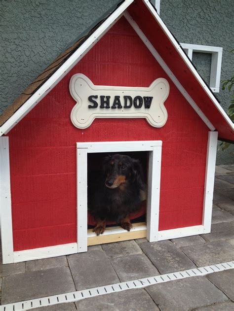 Custom Dog House