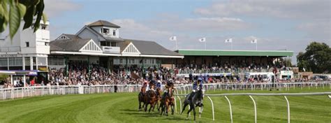 Catterick Racecourse Guide | Horse Racing