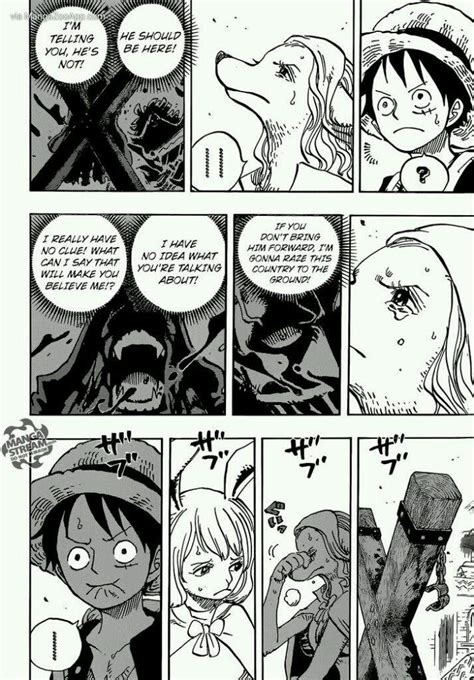 One Piece: Zou Arc (Manga) Chapter 806 | Anime Amino