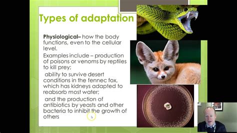 Adaptation Examples