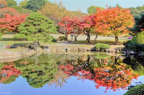 Autumn 2016: Shinjuku Gyoen – Lakbayer