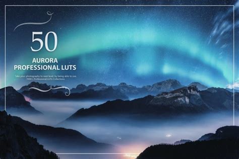 40+ Best Photoshop LUTs (Free & Pro) 2025 - Theme Junkie