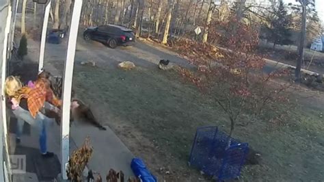 Wild raccoon attack caught on video as mother saves daughter | news.com ...