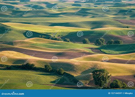 Aerial Overhead View of the Palouse from Steptoe Butte, Showing ...