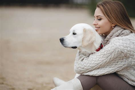 How to Train Your Dog to Be Calm | Wag!